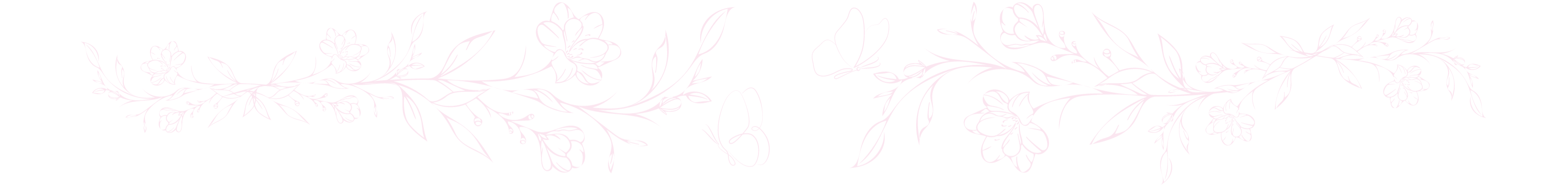 Eravela Website Footer Boarder Whimsical Flowers and Butterflies in Pink